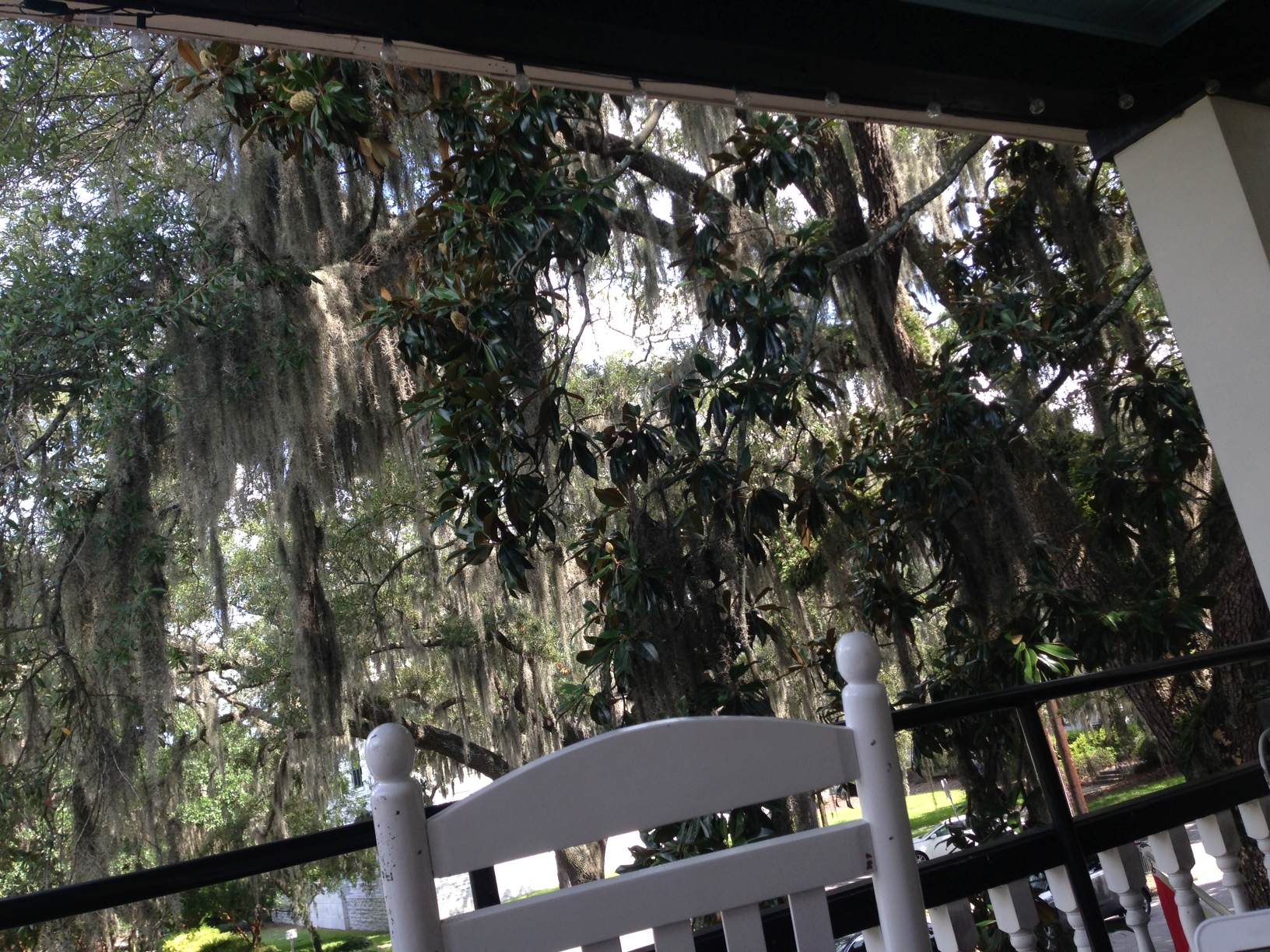 In Praise of Portable Business! My temporary outdoor office Veranda in Savannah Foxy Loxy Cafe,  Savannah, GA